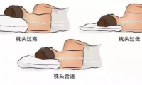 萬眾矚目！DOLOMIA深睡秘密大公開！