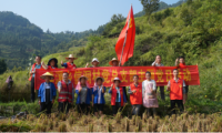 發(fā)揮基層組織戰(zhàn)斗堡壘作用，構建生產(chǎn)服務主力軍
