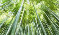 超高防潮丨性能與美學兼具，這張好板更懂健康生活