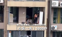 臺風季門窗安全警鐘再鳴：墜窗悲劇如何避免？