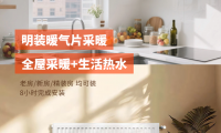 明裝暖氣壁掛爐選購指南，菲斯曼A1JF壁掛爐實力出圈！