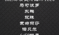 防滑瓷磚哪個品牌好？2025年六大權威品牌深度評測推薦