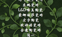 裝修買瓷磚選什么品牌，2026 口碑款清單，新手不踩雷