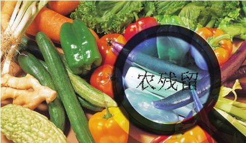 家庭食品安全我們該怎么辦？食材凈化機有效嗎？
