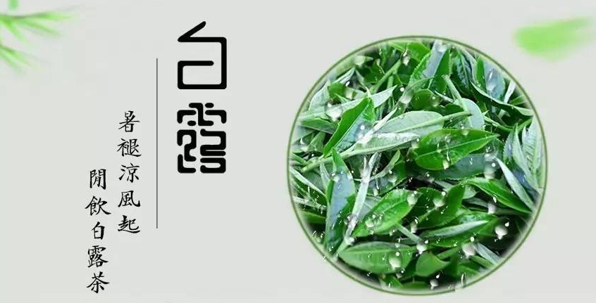 金秋好物大賞：白露為霜的季節(jié)，怎么能少得了碧然德濾水壺