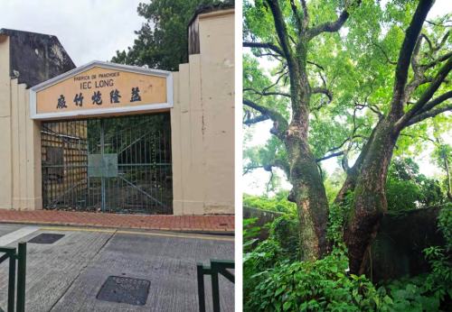 推動生物多樣性保護(hù)  中節(jié)能鐵漢在行動
