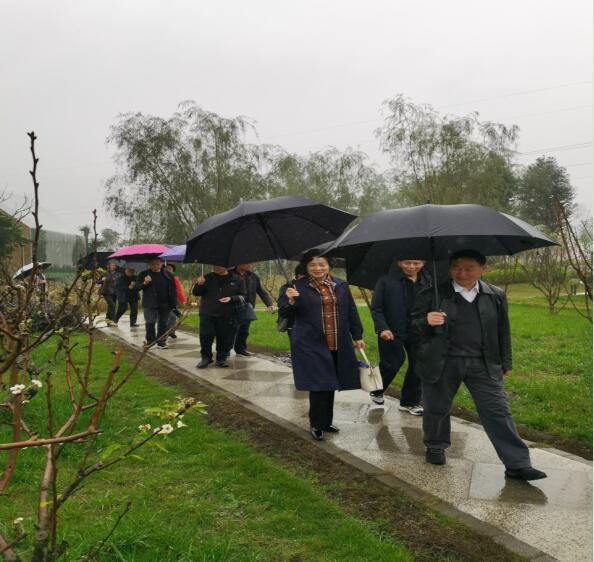 農(nóng)博搭臺為引領(lǐng) 科技人才創(chuàng)實效&mdash;&mdash;王宗全一行赴新津區(qū)調(diào)研指導老科協(xié)工作