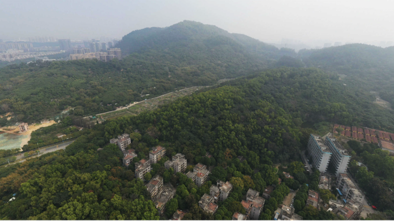 喜報丨深耕南沙，再添新秀