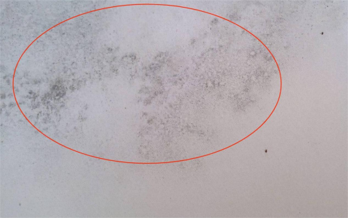 美巢易呱平膩子粉，耐水防潮更高環(huán)保，拒絕墻面潮濕發(fā)霉