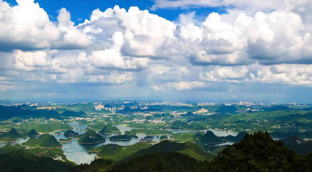 千年舟新生態地板，給年輕人不一樣的五新體驗